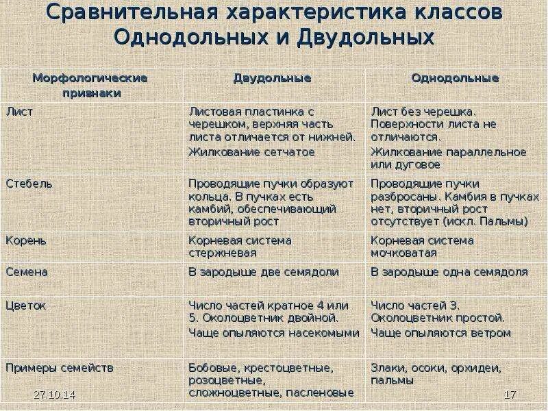 Как отличить однодольные. Признаки однодольных и двудольных растений таблица. Класс Однодольные и двудольные таблица 7 класс биология. Сравнительная характеристика классов двудольные и Однодольные. Сравнение однодольных и двудольных растений таблица 6 класс биология.