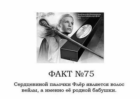 Поттер факты