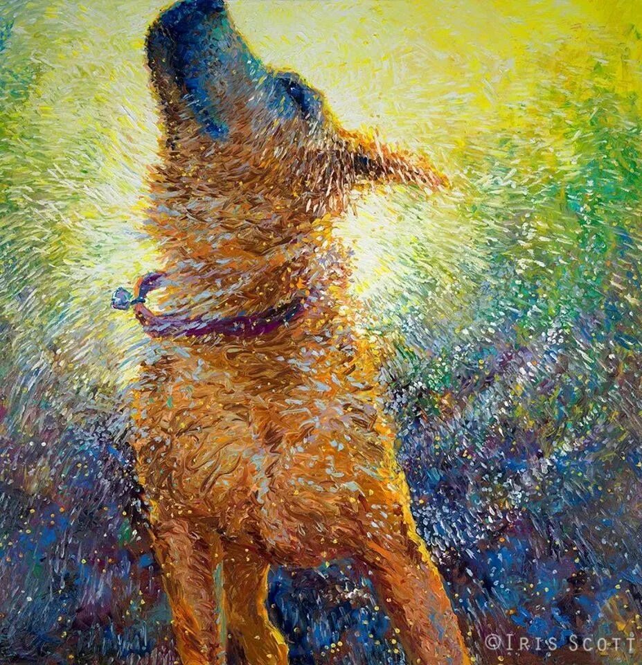Картины написанные животными. Айрис скотт. айрис скотт (iris scott). ирис скотт картины. айрис скотт художница картины.