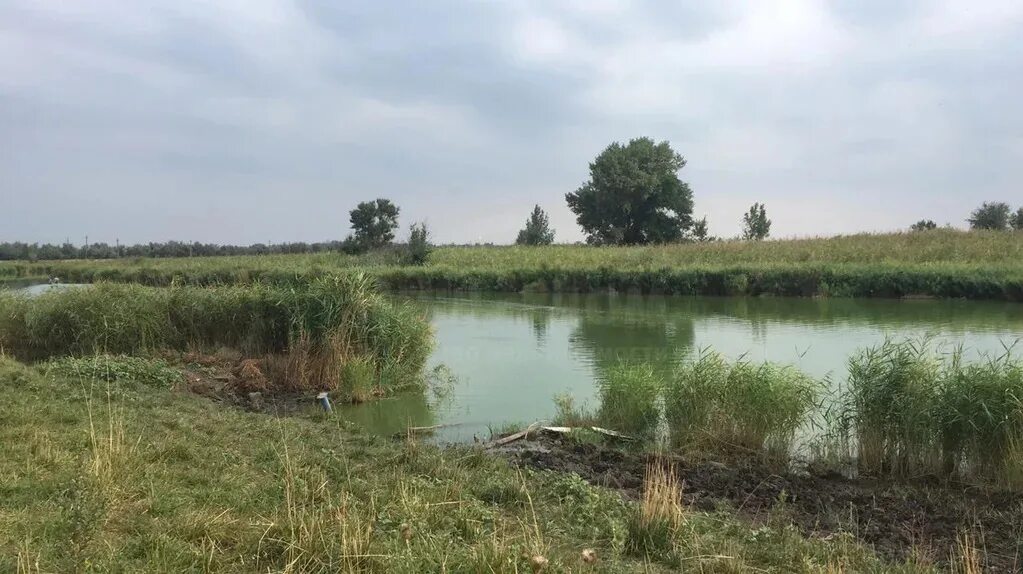 Погода в самарском азовского района. Поселок Южный Азовского района Ростовской области. Посёлок Южный Ростовская область Азовский район село Самарское. Ростовская обл Азовский район поселок Южный. Посёлок Южный Ростовская область Азовский район Гагарина 12.