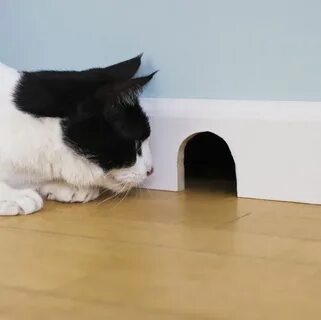 Cat hole