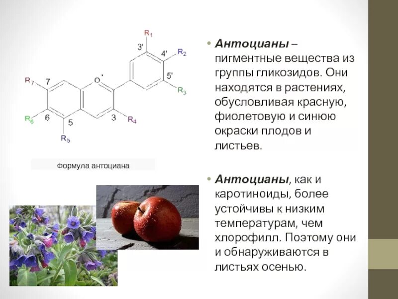 Определи какие вещества содержатся в объектах