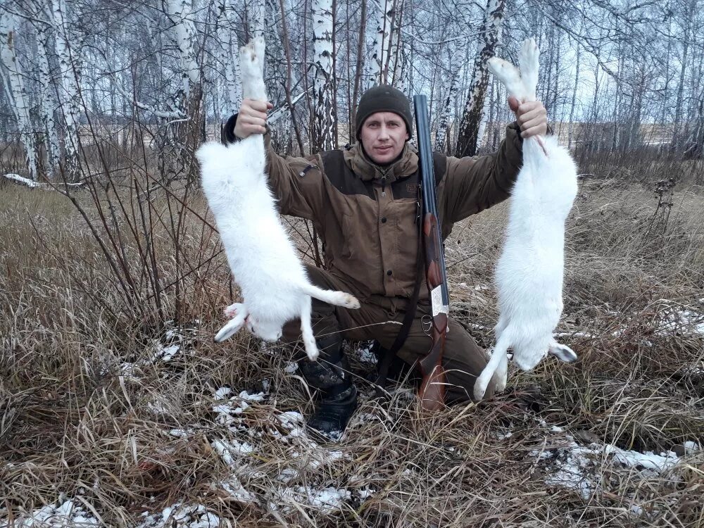 Можно охотиться на зайца ночью. Можно охотиться на зайца ночью. Охота на зайца русака троплением зимой. Можно охотиться на зайца ночью. Можно охотиться на зайца ночью.