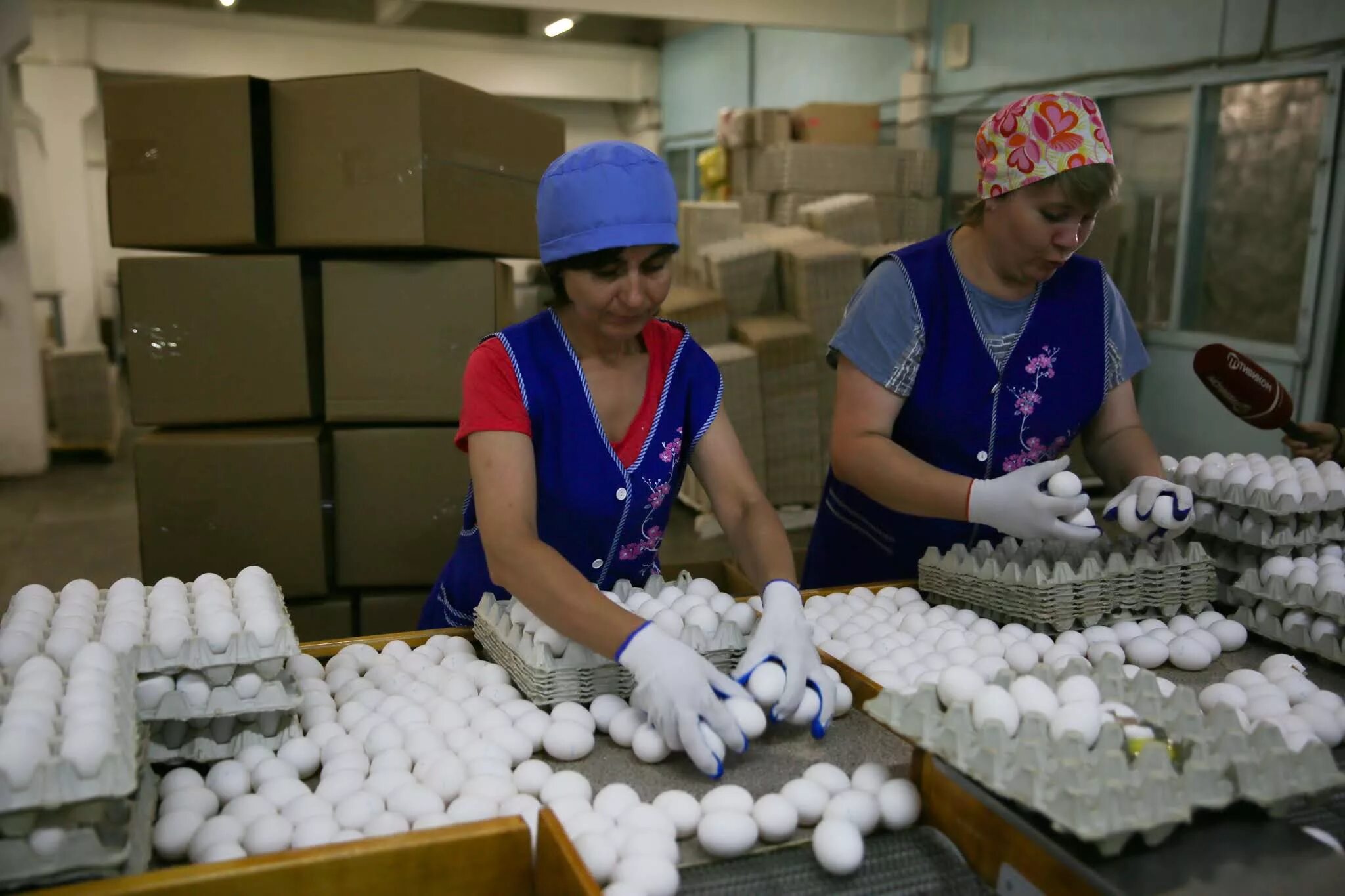 Продукция улан-удэнской птицефабрики. Улан-удэнская птицефабрика руководители. Ао «птицефабрика «чамзинская». Птицефабрика улан-удэ. Улан удэнская птицефабрика.