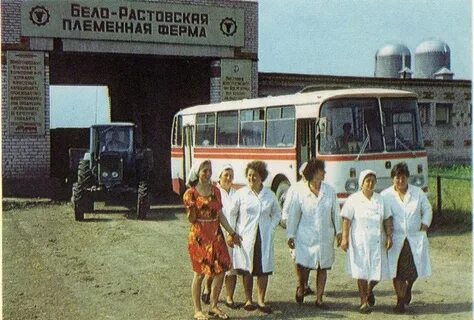 Автобусы ермолино