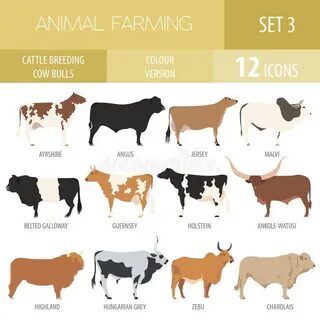 Breeding farm