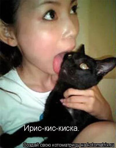 кот мяусон из новенькой. кисы мемы. кот мем. отдам кота. пазлы 44 котенка.