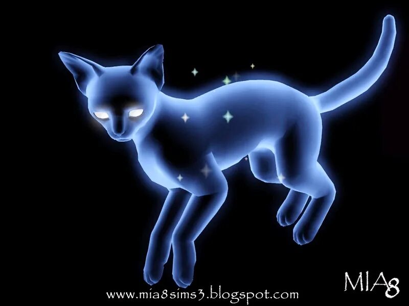 Кошка привидение. Кот со светящимися глазами. Призраки котов. Кошка-привидение (телефильм). Кошка привидение.