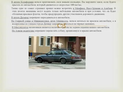 Интересные факты дорожного движения в разных странах