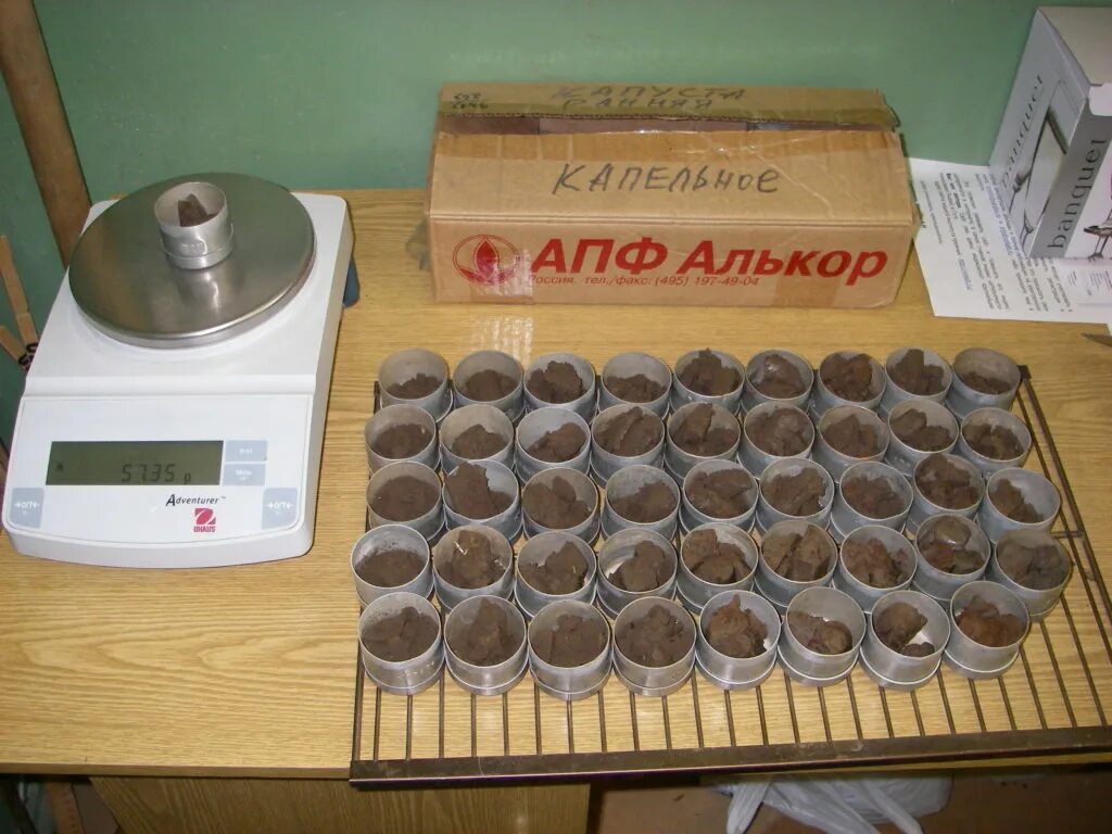 Лабораторные исследования грунта. Бюксы для высушивания. Пробы почвы. Лабораторные исследования почвы. Сушка грунта.