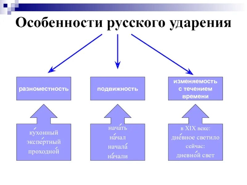 Какова функция слова. Особенности русского ударения. Особенности ударения в русском языке. Особенности русского словесного ударения. 3 Особенности русского ударения.