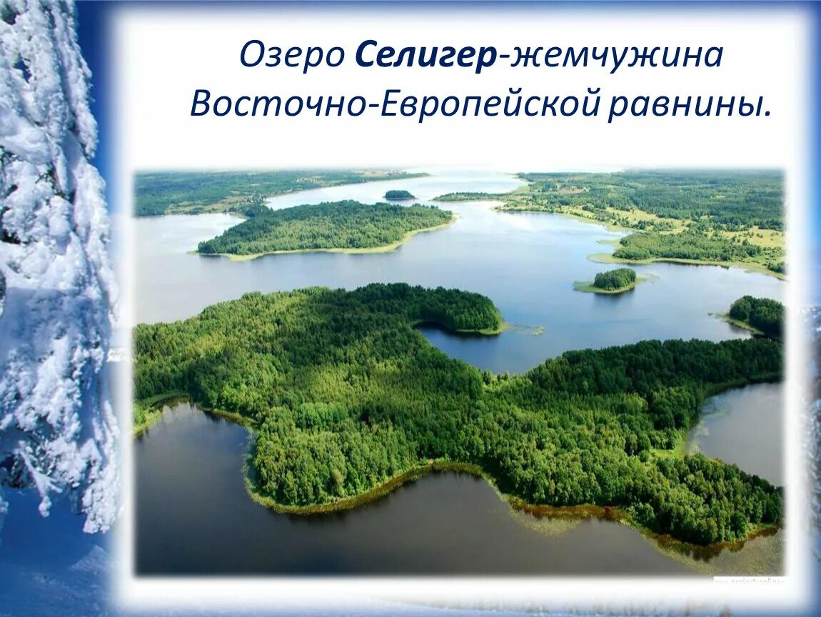 Озера Восточно-европейской равнины Селигер. Озеро Селигер русская равнина. Памятники природы русской равнины. Памятники природы Восточно европейской равнины. Озера восточной европы