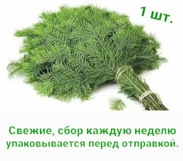 Как заварить пихтовый веник