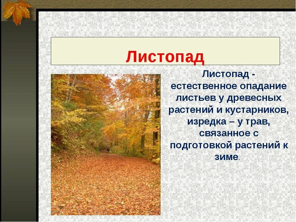 Осенние явления в жизни растений. Презентация на тему листопад. Сообщение о листопаде. Предложение про листопад. Осенний листопад предложения