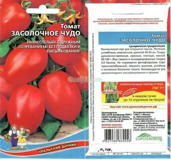 Томат засолочные характеристика и описание сорта