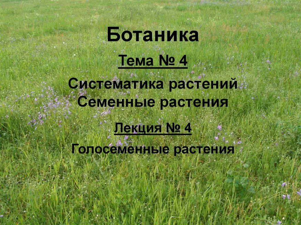 Термин геоботаника