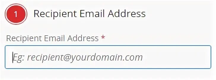 Recipient s email address
