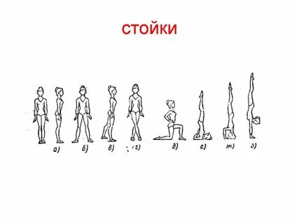 Основная стойка в физкультуре