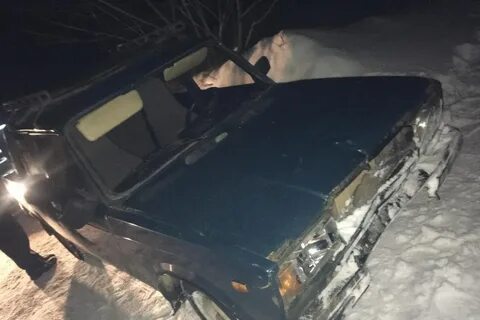 Водитель шаховская