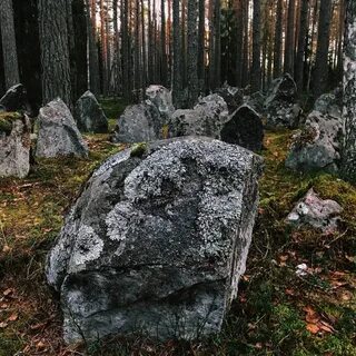 Государственный природный комплексный заказник выборгский