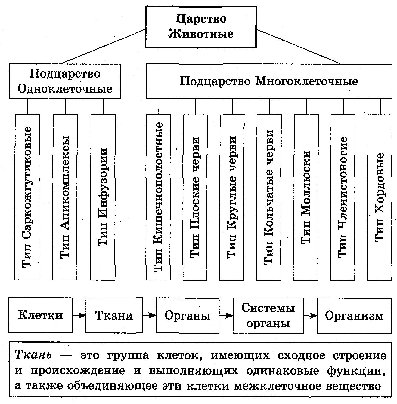 Ткани человека. Основные системы органов многоклеточных животных таблица 7. Растительные ткани таблица 5 класс биология. Ткани органы и системы органов многоклеточных животных таблица. Системы органов животных 5 класс биология таблица.