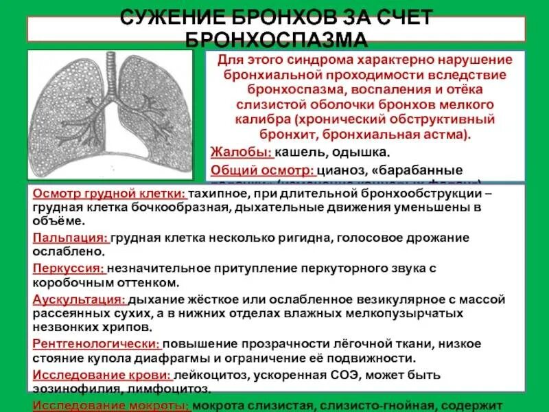 Синдромы мокроты. Причины нарушения бронхиальной проходимости. Синдром нарушения бронхиальной проходимости. Синдром нарушения бронхиальной проходимости (синдром бронхоспазма.