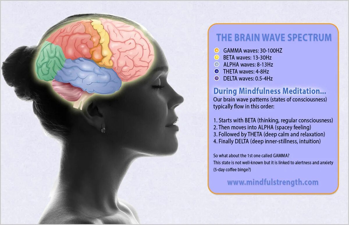 Brain wave