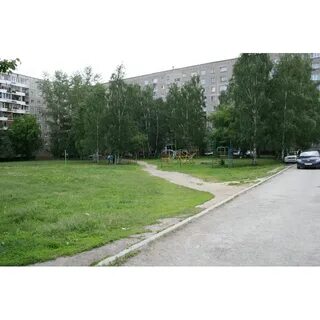 Амундсена бардина