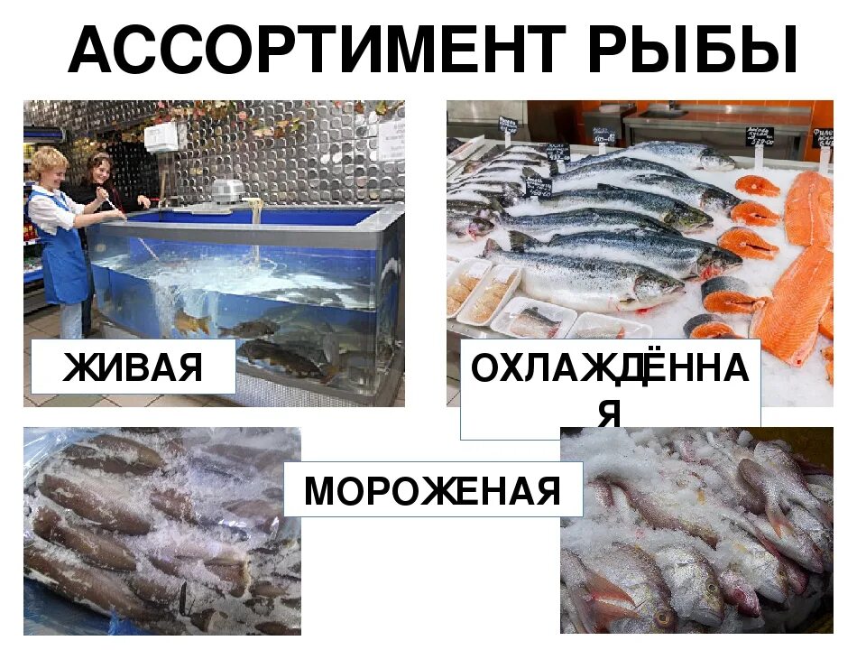 Признаки по которым выбирают охлажденную рыбу