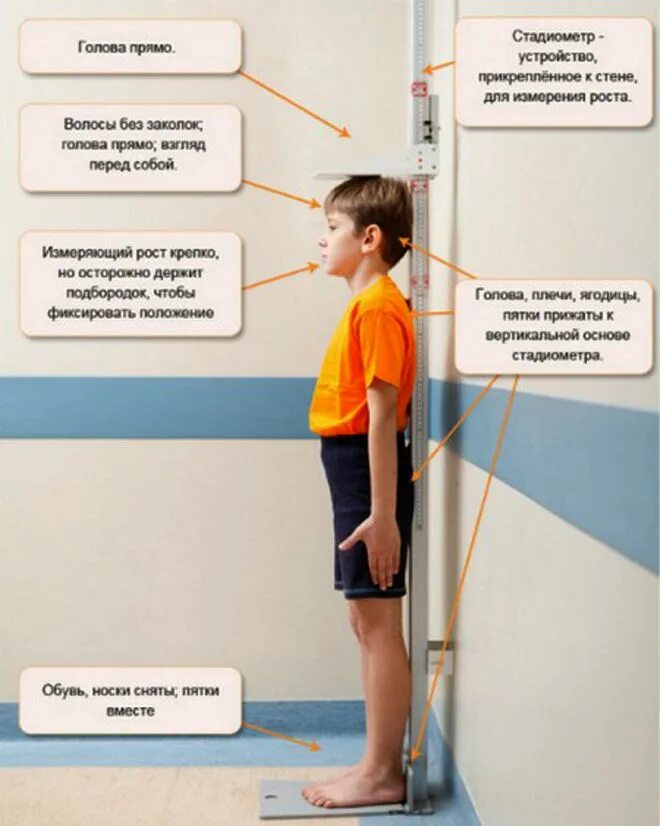 Как помочь росту ребенка. Ребенок измеряет рост. Сантиметр для детей. Измерение роста ребенка. Измерение роста ребенка.