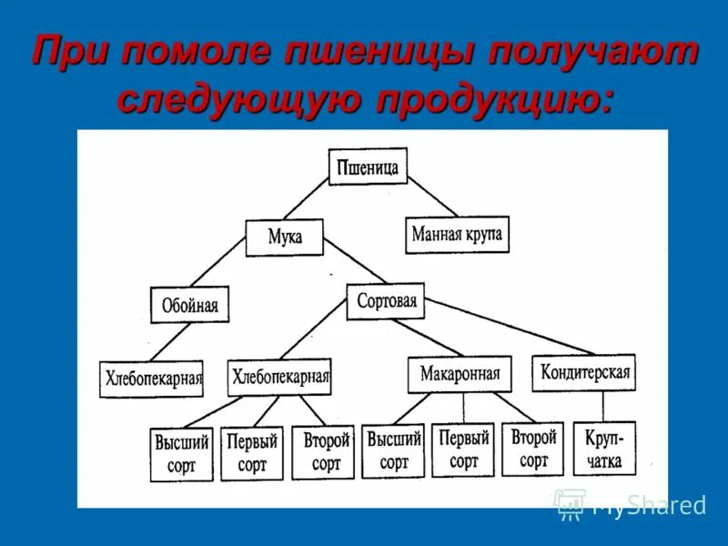 При помоле пшеницы получается 80 процентов. Схема способов помола муки. Виды помола пшеничной муки. Помол зерна виды муки. Особенности процесса помола.