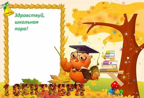 Стихи о знаниях для дошкольников