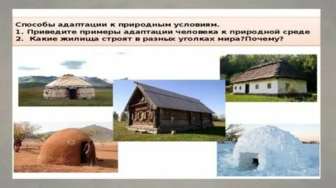 Новым условиям жизни и деятельности