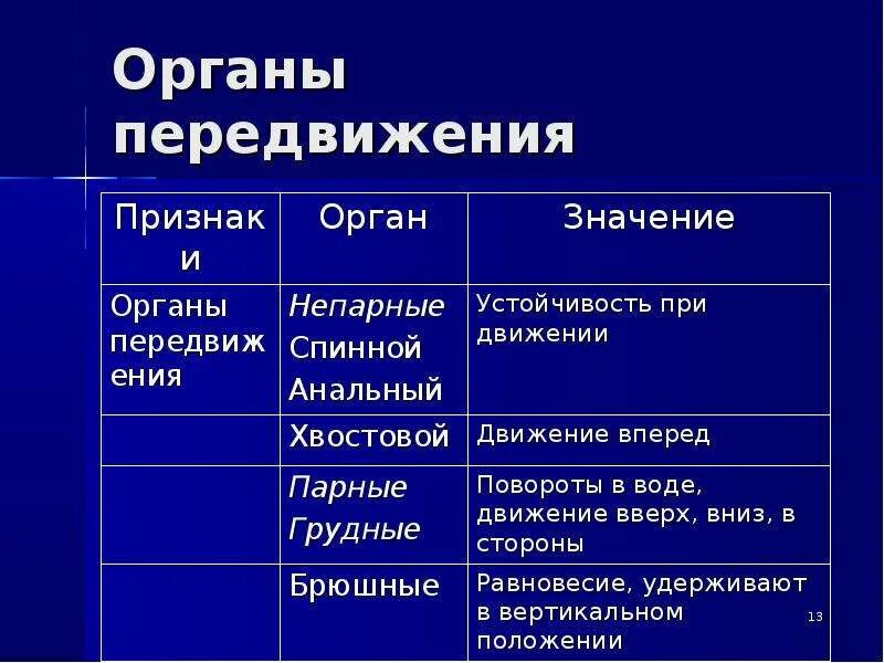 Строение рыбы 7 класс таблица. Строение систем органов рыб и их функции. Таблица внутреннее строение рыб 7 класс биология. Внутреннее строение рыб таблица система строение функции. Внешнее строение рыб таблица.