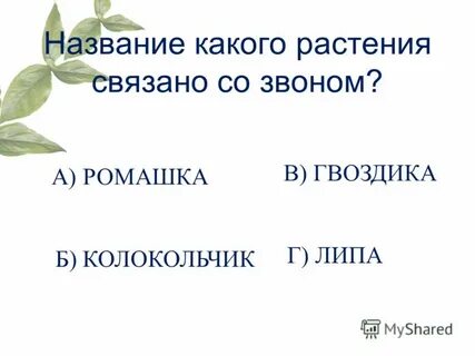 Имена связанные с цветами