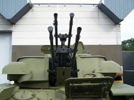 Зу шилка