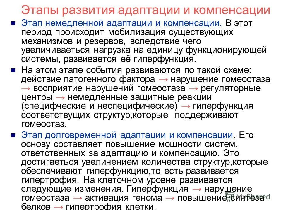 Механизмы формирования адаптаций. Стадии развития адаптации. механизмы компенсации и адаптации. фазы формирования адаптации. этапы возникновения адаптаций.
