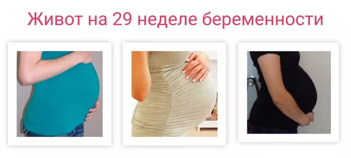 40 недель болит низ. Живот на 29 неделе беременности. Форма живота при беременности. 29 Недель форма живота. Беременный живот 29 недель.