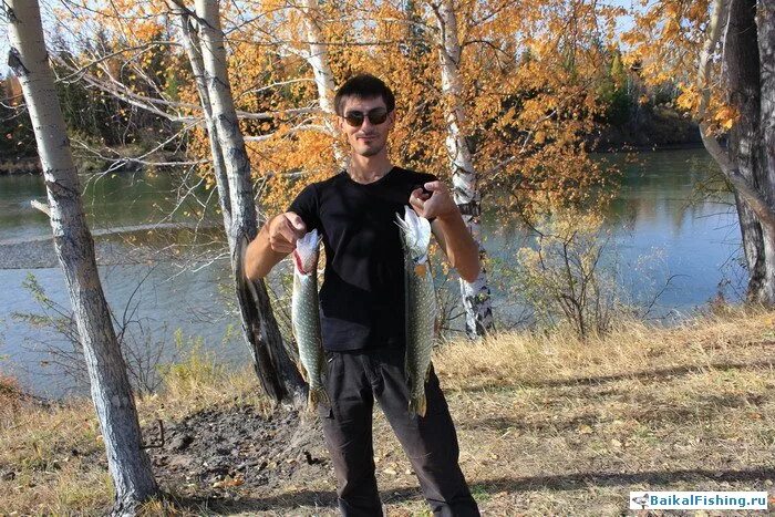 Сплав по реке анюй хабаровский край. Рыбалка на иркуте. Сплав по иркуту от шаманки до иркутска. Умба рыбалка. Рыбалка на реке иркут.