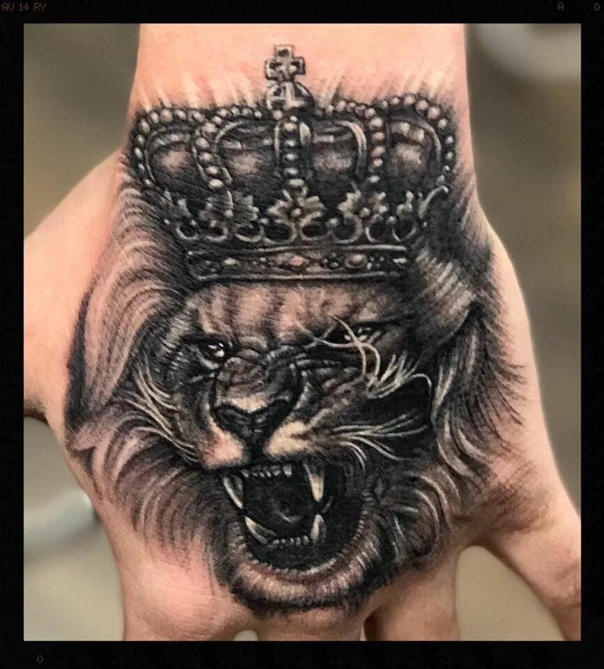 Скорпион с головой льва. Тату Лев. Оскал Льва с короной. Лев с короной. Татуировка Лев с короной.