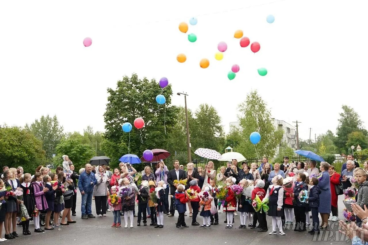 1 Сентября 2014 года. Школа 8 Гатчина первое сентября. Школы гатчвиснкого районарайона. Гатчина 11 школа 1 сентября. Школа 11 гатчина