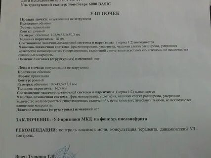 Узи почек специалист