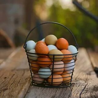 Your egg