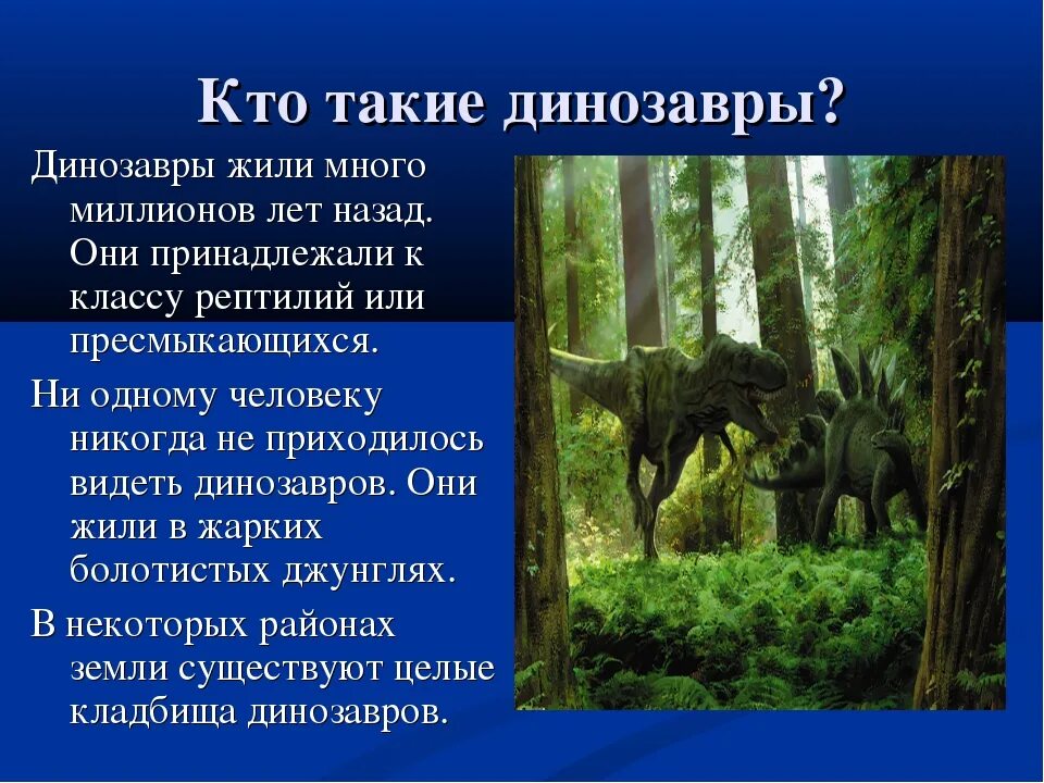 Сообщение о динозаврах 1. Динозавры презентация. Заключение о динозаврах. Проект про динозавров. Вывод о динозаврах.