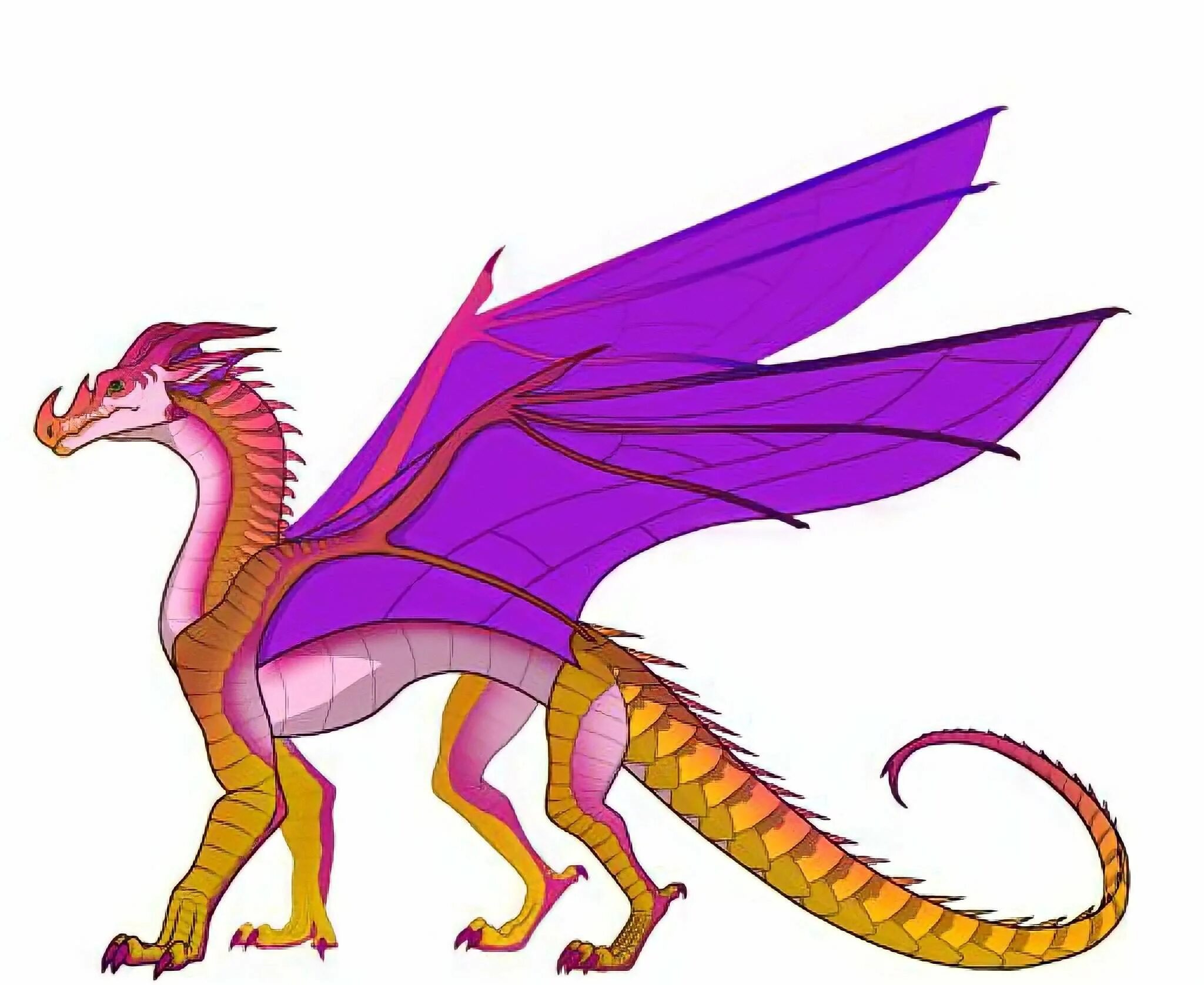 драконья сага морские драконы лайн. драконья сага лайн ядожала. песчаные драконы драконья сага. разнокрыл дракон. драконья сага жукокрыл.