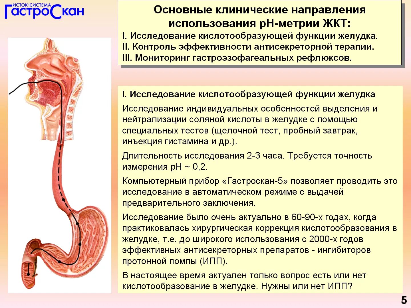 Исследования пищевода и желудка