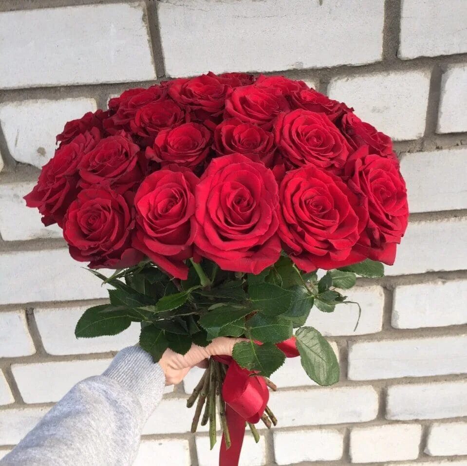 Букет из 33 роз. 33 розы в упаковке. Букет из 33 роз. Букет 33 розы красные. Букет из 33 роз.