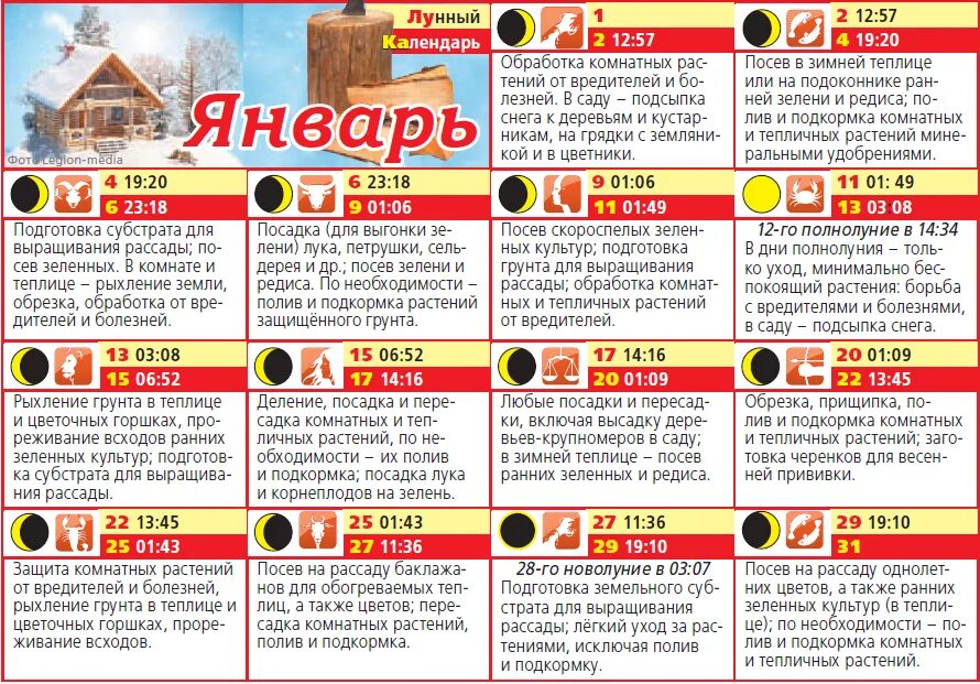 Лунный календарь посадок. Календарь посадка пересадка. Лунный посевной календарь. Календарь посева рассады. Лунный календарь цветовода комнатные растения.