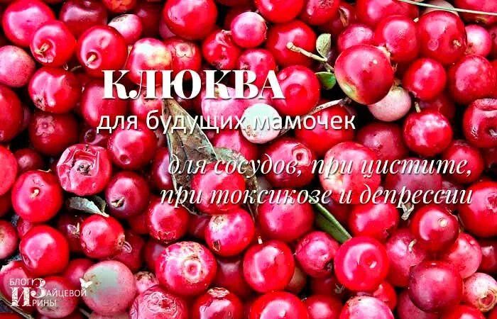 Клюква для беременных. Клюква при беременности. клюква при отеках. клюква от отеков при беременности.