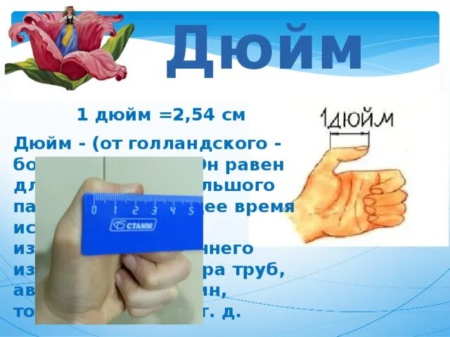 Дюйм изображения